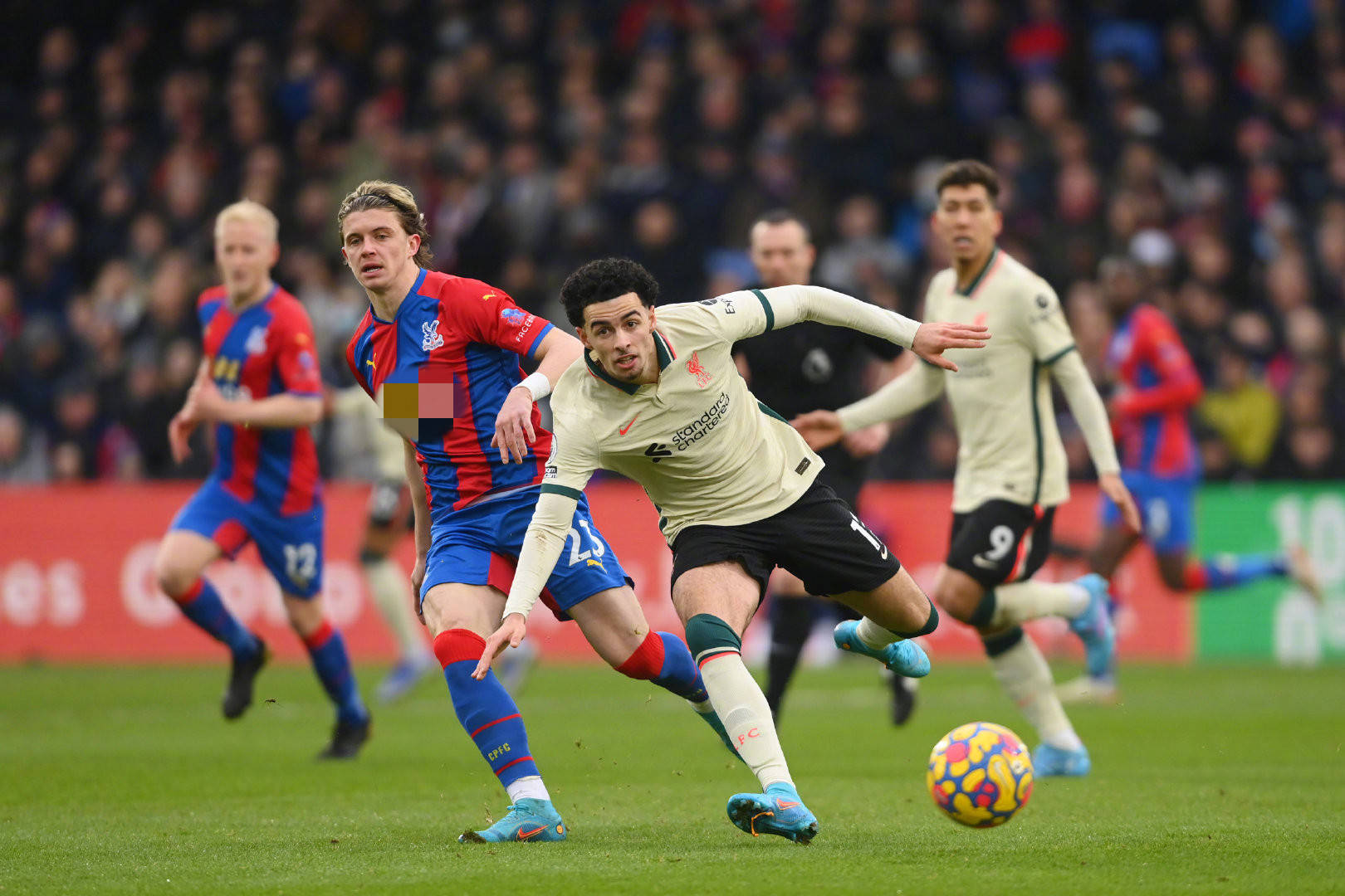 心理素质 心理素质